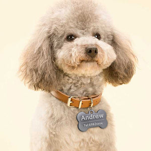 Customized Pets Collars Cutie Pets
