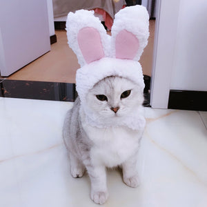 Rabbit Hat Cap Cute Cat Christmas Clothing Hats Cutie Pets