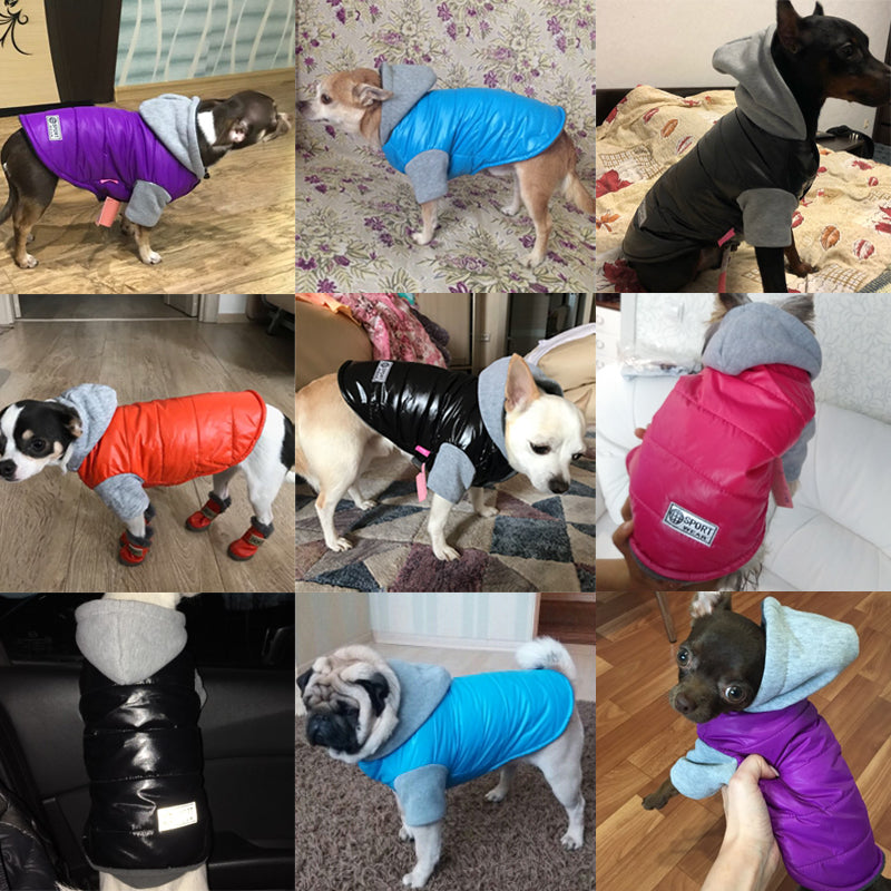 Warm Clothes For Small Dogs Cutie Pets