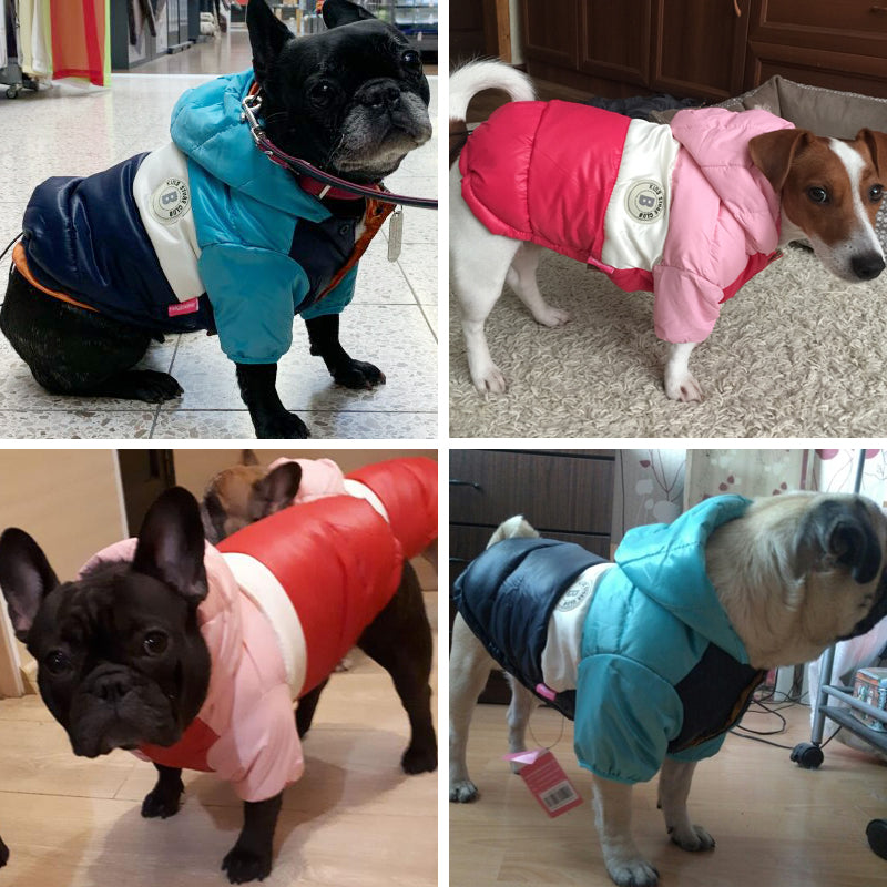 Dog Waterproof  Down Jacket Cutie Pets