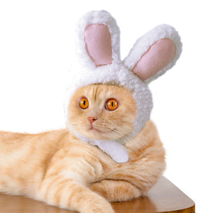 Rabbit Hat Cap Cute Cat Christmas Clothing Hats Cutie Pets