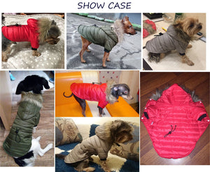 Winter Dog Jacket Cutie Pets