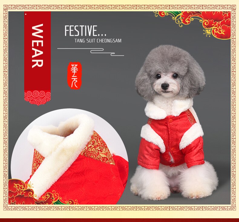 Chinese Traditional Tang Suit Two Feet Dog Cat Costume Cutie Pets