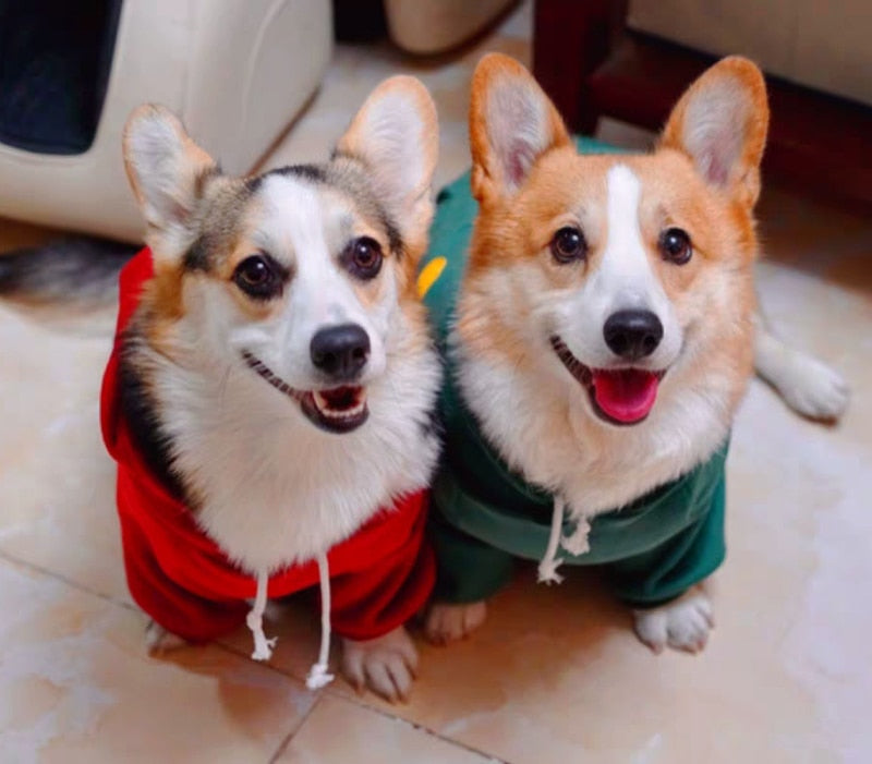 Winter Dog Clothes  Hoodies Suitable Cutie Pets