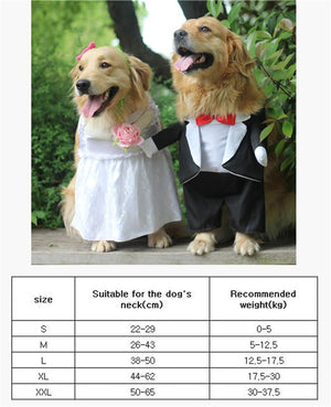 Dog Costume For Wedding Party Big dog clothes Cutie Pets