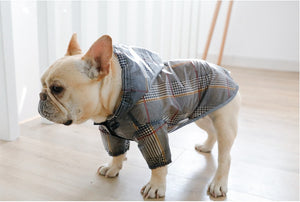 Dog Raincoat for French Bulldogs and Pugs Cutie Pets