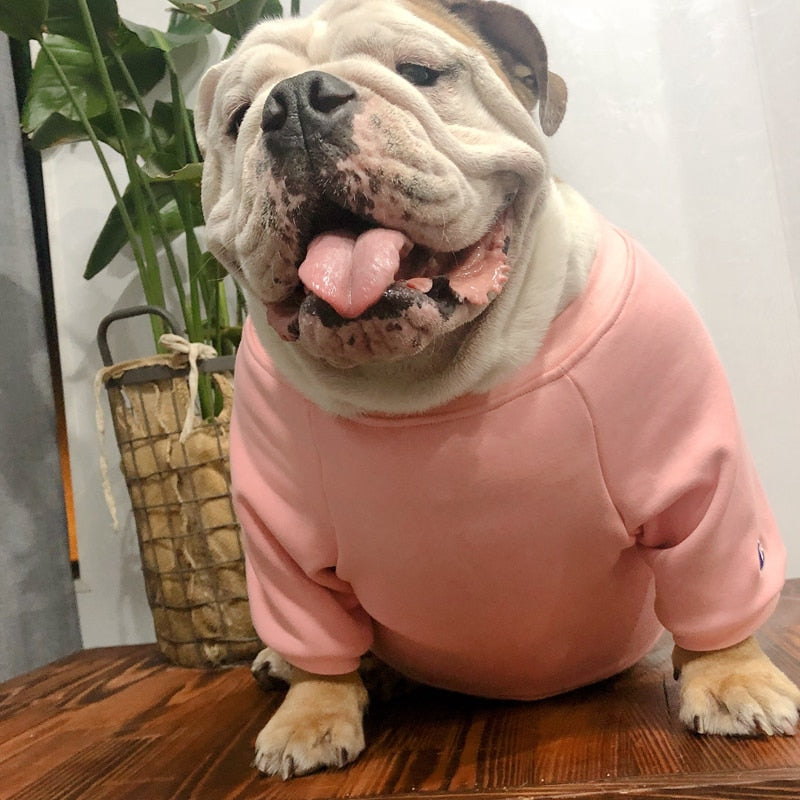 Dog Sweater for Fat Dogs Cutie Pets