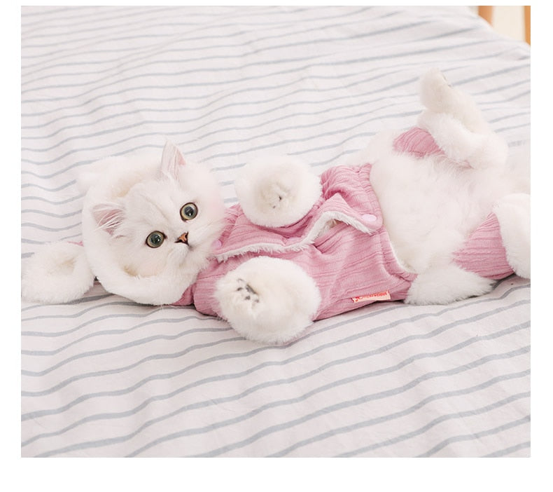 Warm Cat  Winter  Kitten Coat Cutie Pets