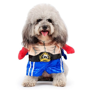Funny Dog Cat Costumes Boxer Cosplay Suit Pet Clothing Cutie Pets