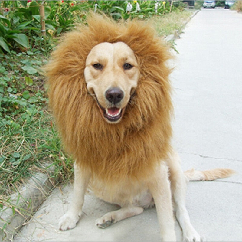 Pet Cosplay Costume Lion Mane Wig Cat large Dog Party Decoration Cutie Pets