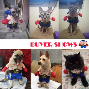 Funny Dog Cat Costumes Boxer Cosplay Suit Pet Clothing Cutie Pets