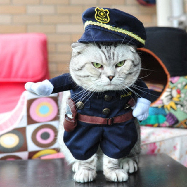 Cat Party Costume Suit Cutie Pets