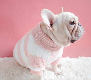 Turtleneck Dog Sweater Warm Suitable Cutie Pets
