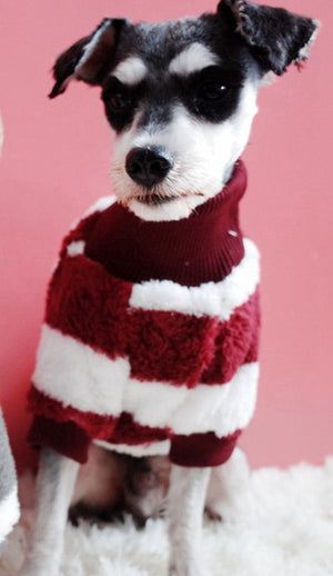 Turtleneck Dog Sweater Warm Suitable Cutie Pets