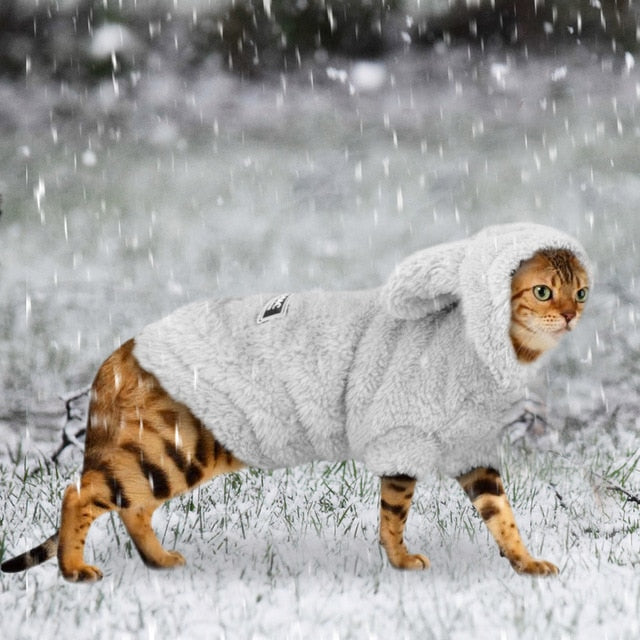 cat winter dress Winter Coat Cat Clothes Meowden