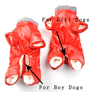 Winter Pet Clothes For Dogs Reflective Waterproof Cutie Pets