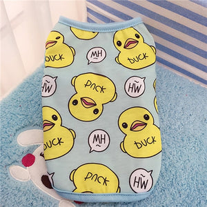 Cute Clothes For Small Dogs Cutie Pets