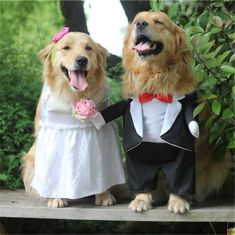 Dog Costume For Wedding Party Big dog clothes Cutie Pets